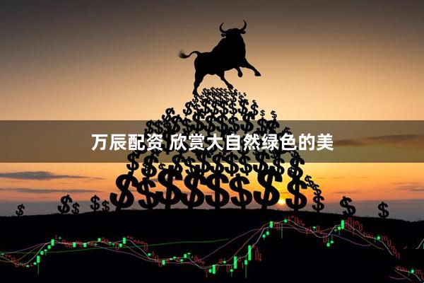 万辰配资 欣赏大自然绿色的美