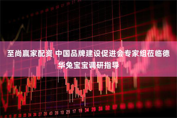 至尚赢家配资 中国品牌建设促进会专家组莅临德华兔宝宝调研指导