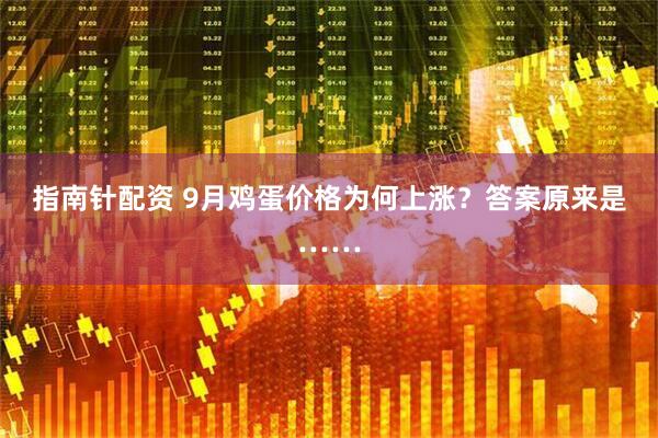 指南针配资 9月鸡蛋价格为何上涨？答案原来是……